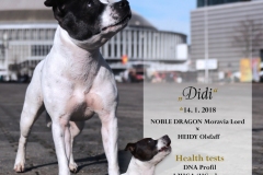 plakat_brunabulla