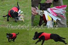 Hanacky_pohar_2013